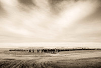 Farmland